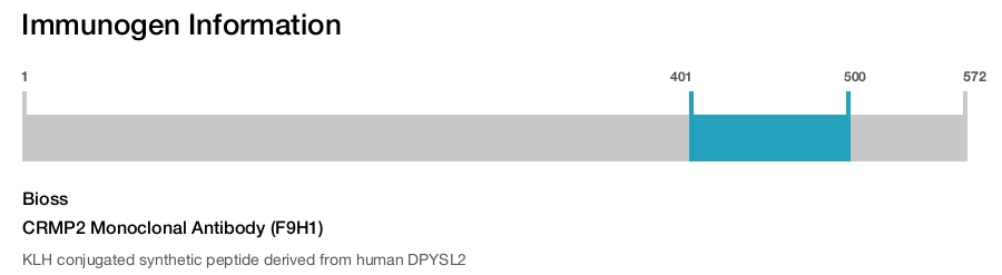 CRMP2 Monoclonal Antibody (F9H1)