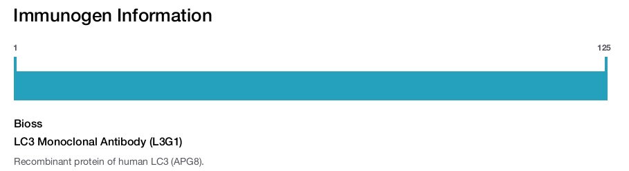 LC3 Monoclonal Antibody (L3G1)