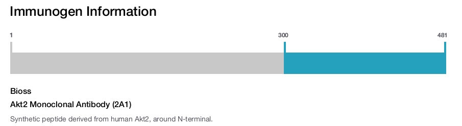 Akt2 Monoclonal Antibody (2A1)