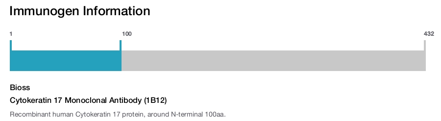Cytokeratin 17 Monoclonal Antibody (1B12)