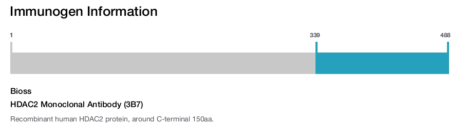 HDAC2 Monoclonal Antibody (3B7)