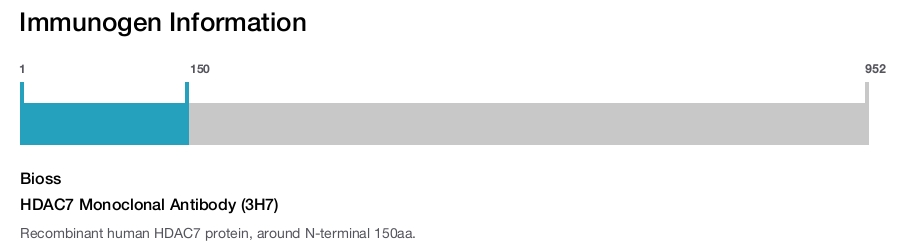 HDAC7 Monoclonal Antibody (3H7)