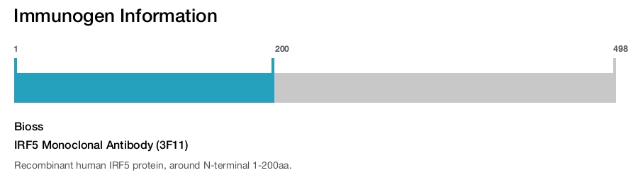 IRF5 Monoclonal Antibody (3F11)