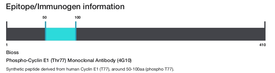 Phospho-Cyclin E1 (Thr77) Monoclonal Antibody (4G10)