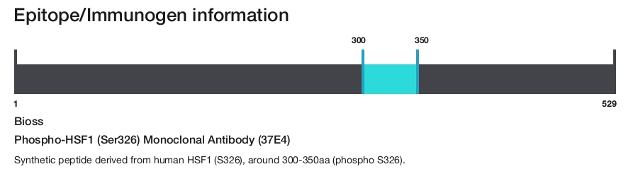 Phospho-HSF1 (Ser326) Monoclonal Antibody (37E4)