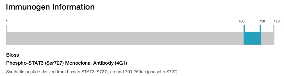 Phospho-STAT3 (Ser727) Monoclonal Antibody (4G1)