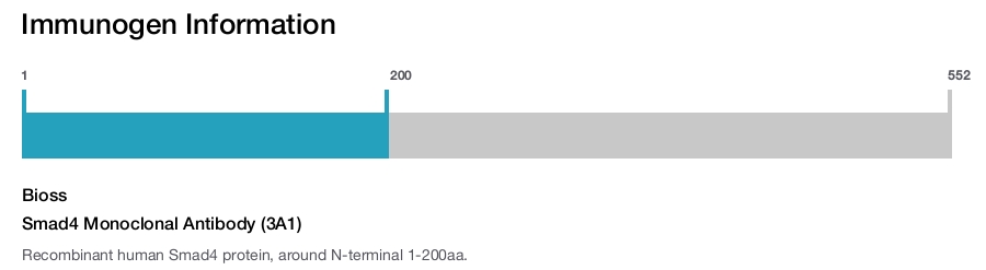 Smad4 Monoclonal Antibody (3A1)