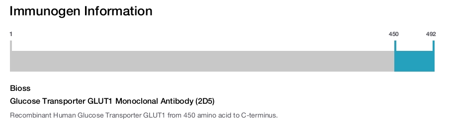 Glucose Transporter GLUT1 Monoclonal Antibody (2D5)