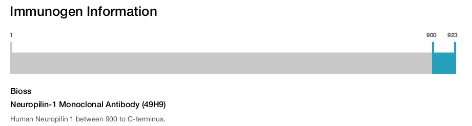 Neuropilin-1 Monoclonal Antibody (49H9)
