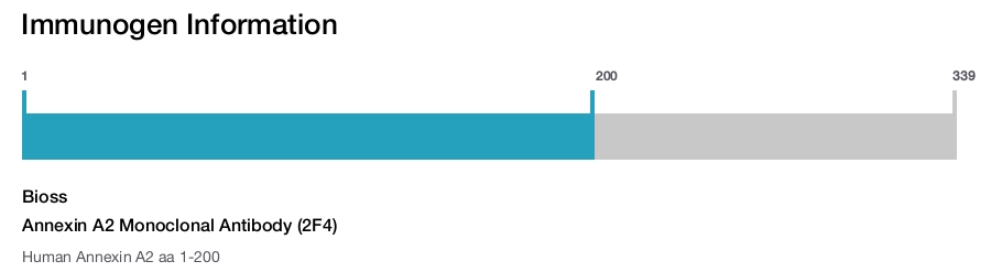 Annexin A2 Monoclonal Antibody (2F4)