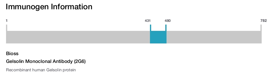 Gelsolin Monoclonal Antibody (2G6)