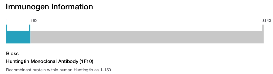 Huntingtin Monoclonal Antibody (1F10)