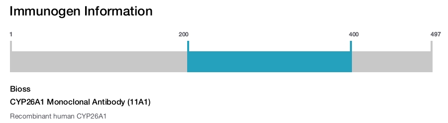 CYP26A1 Monoclonal Antibody (11A1)