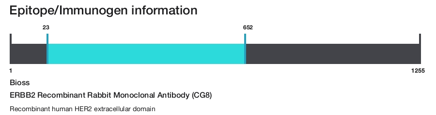 ERBB2 Recombinant Rabbit Monoclonal Antibody (CG8)