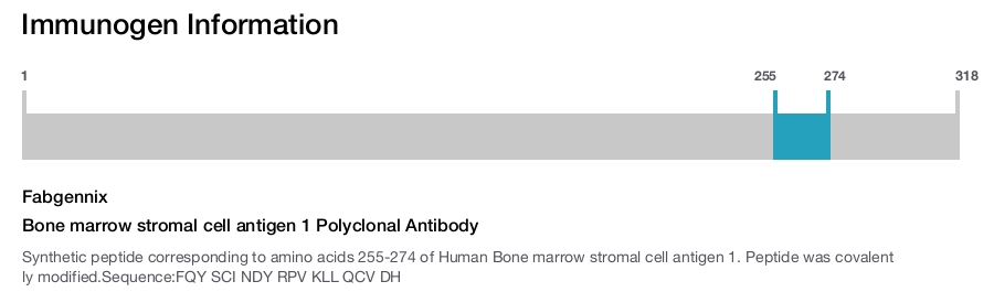 Bone marrow stromal cell antigen 1 Polyclonal Antibody