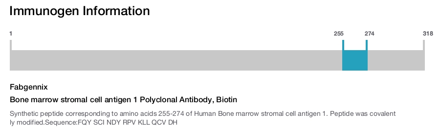 Bone marrow stromal cell antigen 1 Polyclonal Antibody, Biotin