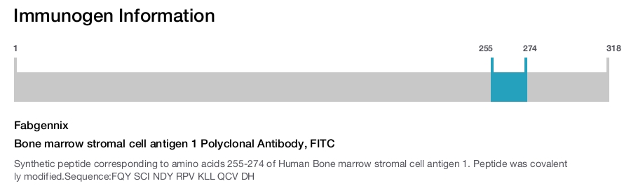 Bone marrow stromal cell antigen 1 Polyclonal Antibody, FITC