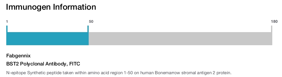BST2 Polyclonal Antibody, FITC