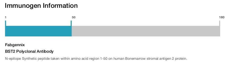 BST2 Polyclonal Antibody