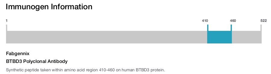 BTBD3 Polyclonal Antibody