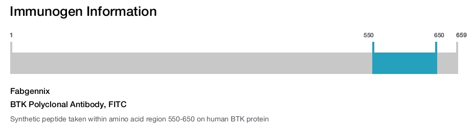 BTK Polyclonal Antibody, FITC