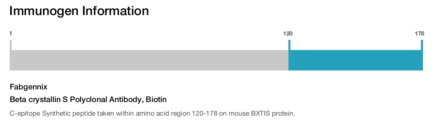 Beta crystallin S Polyclonal Antibody, Biotin