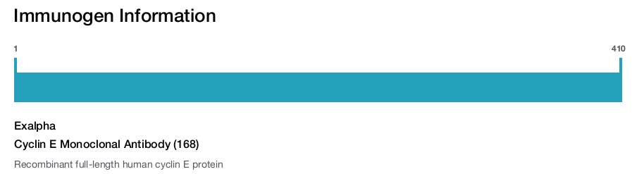 Cyclin E Monoclonal Antibody (168)