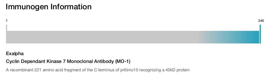 Cyclin Dependant Kinase 7 Monoclonal Antibody (MO-1)
