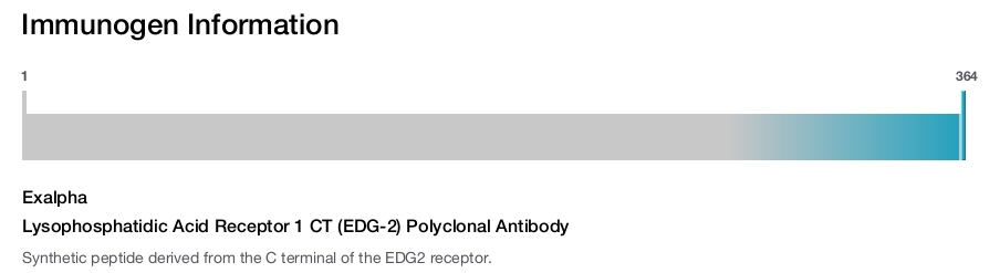Lysophosphatidic Acid Receptor 1 CT (EDG-2) Polyclonal Antibody