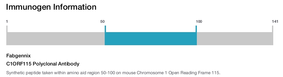 C1ORF115 Polyclonal Antibody