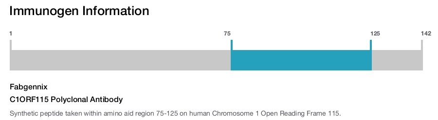 C1ORF115 Polyclonal Antibody
