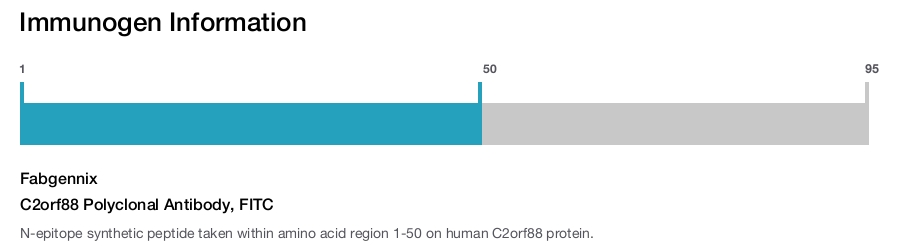 C2orf88 Polyclonal Antibody, FITC