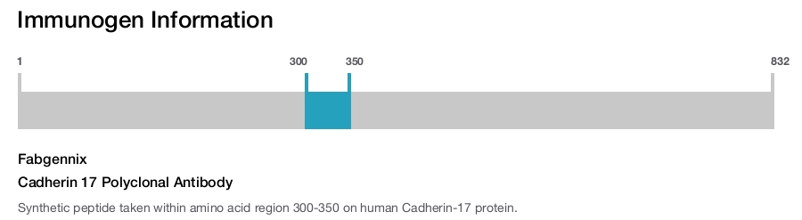 Cadherin 17 Polyclonal Antibody