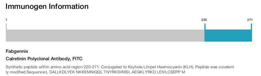 Calretinin Polyclonal Antibody, FITC