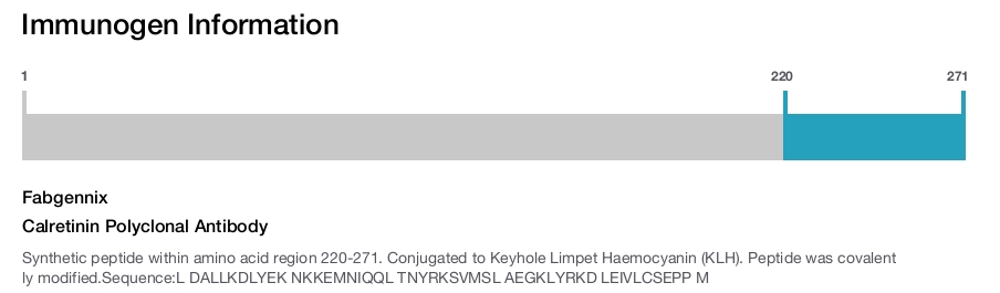 Calretinin Polyclonal Antibody