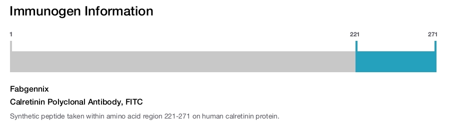Calretinin Polyclonal Antibody, FITC