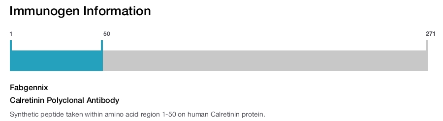 Calretinin Polyclonal Antibody