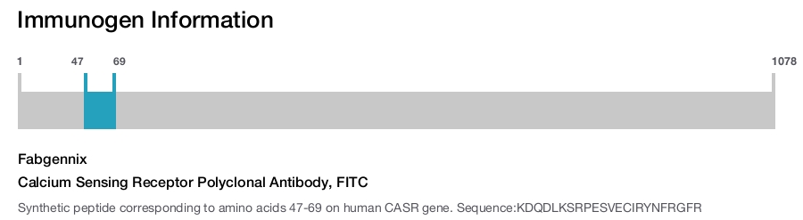 Calcium Sensing Receptor Polyclonal Antibody, FITC