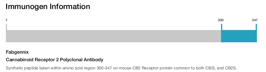 Cannabinoid Receptor 2 Polyclonal Antibody