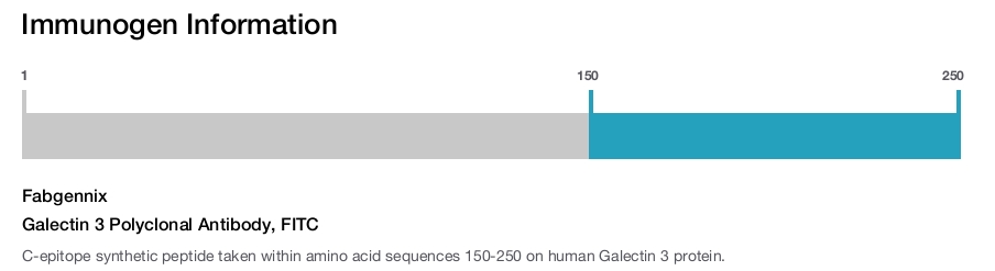 Galectin 3 Polyclonal Antibody, FITC
