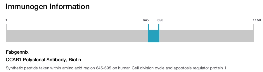 CCAR1 Polyclonal Antibody, Biotin
