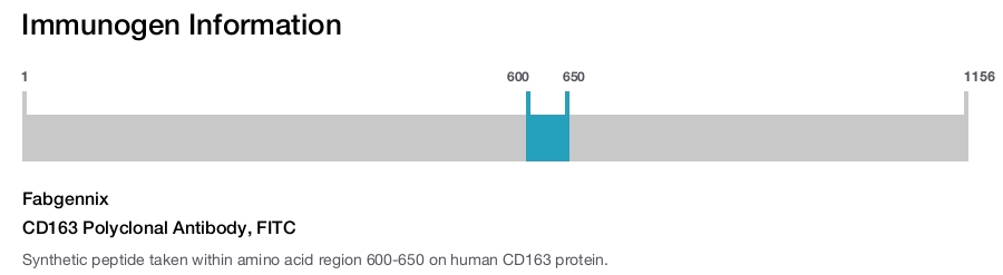 CD163 Polyclonal Antibody, FITC