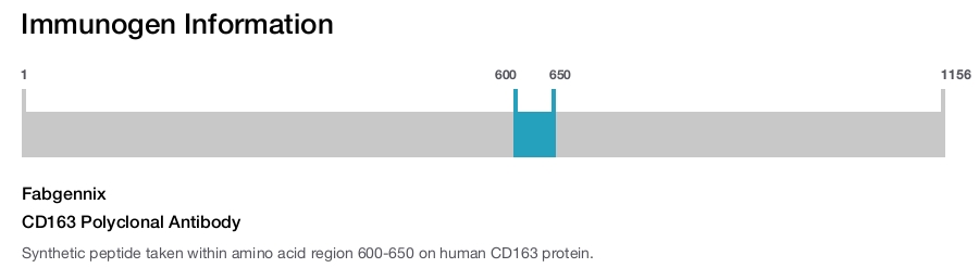 CD163 Polyclonal Antibody