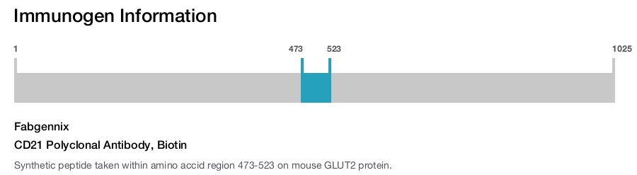 CD21 Polyclonal Antibody, Biotin