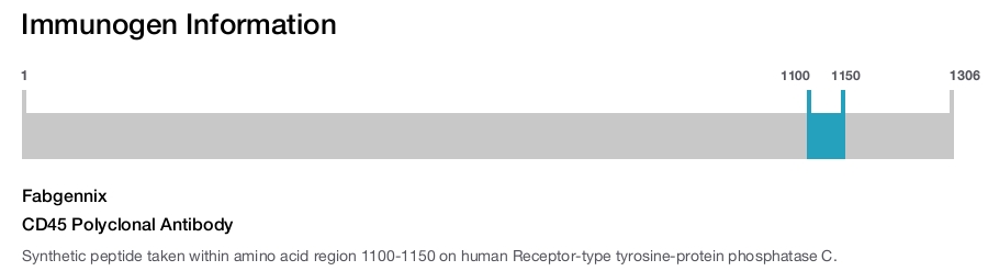 CD45 Polyclonal Antibody