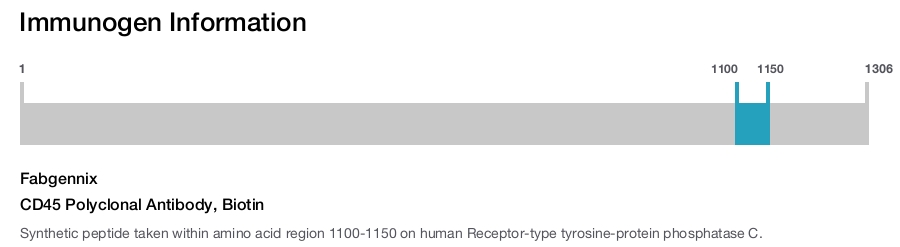 CD45 Polyclonal Antibody, Biotin