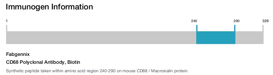 CD68 Polyclonal Antibody, Biotin