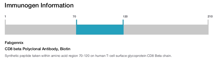 CD8 beta Polyclonal Antibody, Biotin