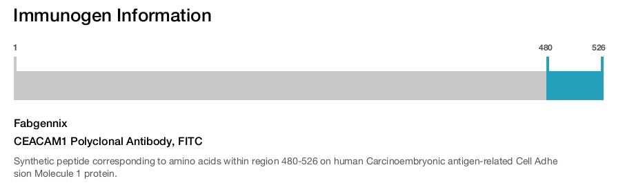 CEACAM1 Polyclonal Antibody, FITC