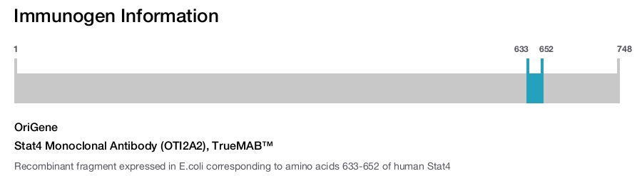 Stat4 Monoclonal Antibody (OTI2A2), TrueMAB&trade;